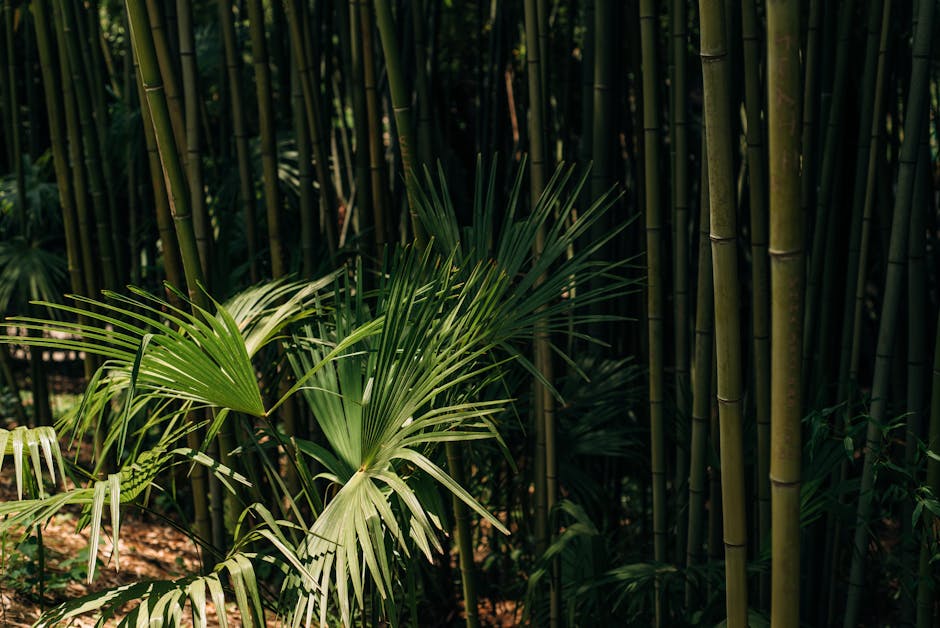Tendências 2026: As 3 famílias olfativas (frutas tropicais e madeiras) que mais vendem no mercado brasileiro